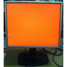 Монитор 19" TFT HP 1955 (DVI в Уфе, USB-хаб) "квадратный" (Уфа)