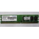 Модуль оперативной памяти 4Gb DDR2 Patriot PSD24G8002 pc-6400 (800MHz)  (Уфа)