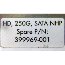 HP 250G 7.2k 432337-001/ 399699-001 / 397377-004 SATA HDD (Уфа)