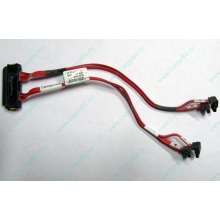 SATA-кабель для корзины HDD HP 451782-001 459190-001 для HP ML310 G5 (Уфа)