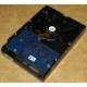 Электроника HDD 500Gb Hitachi HDS721050DLE630 (Уфа)