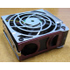 HP 224977 (224978-001) for Proliant ML370 G2/G3/G4 (Уфа).