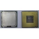 Процессор Intel Celeron D 336 (2.8GHz /256kb /533MHz) SL98W s.775 (Уфа)